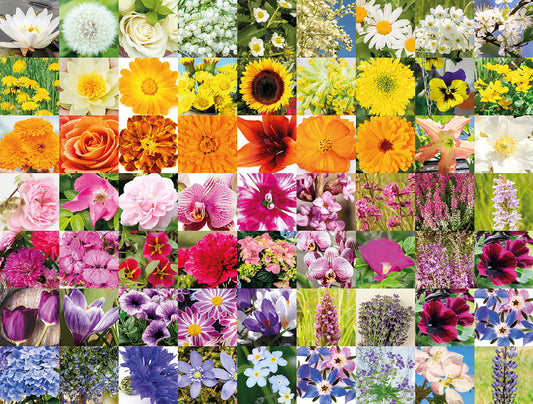 Rainbow of flowers 1000 Piece Jigsaw