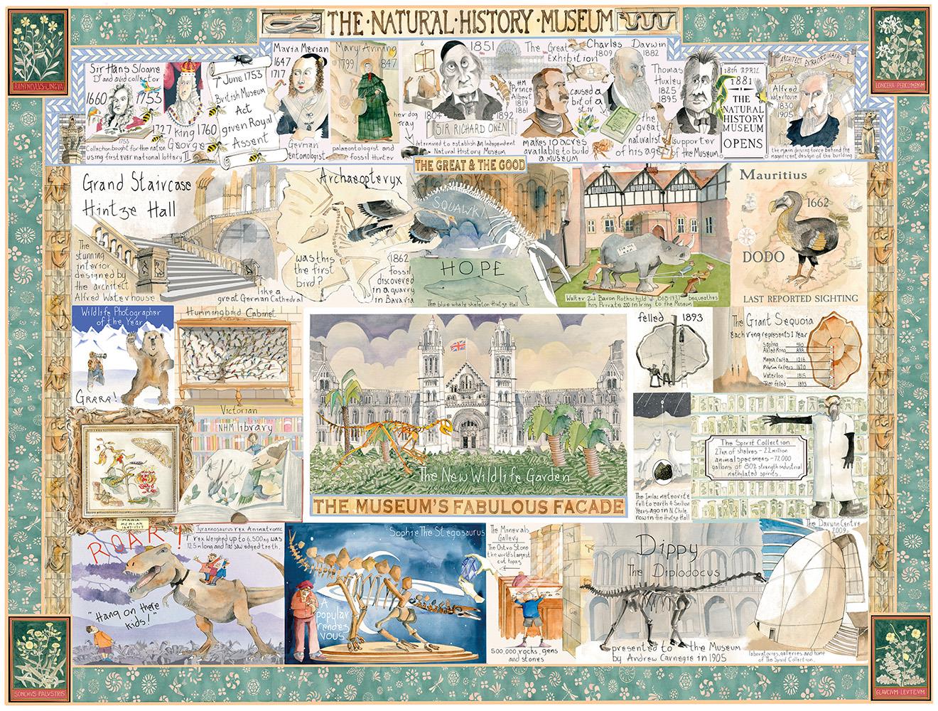 Tim Bulmer - Natural History Museum 1000 Piece Jigsaw