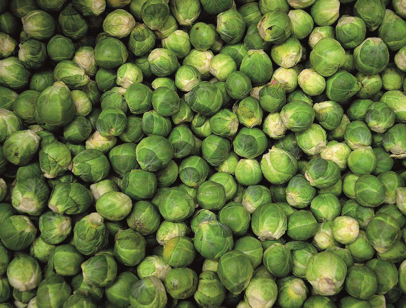 Brussel Sprouts - Impuzzible No. 28 - 1000 Piece Jigsaw Puzzle