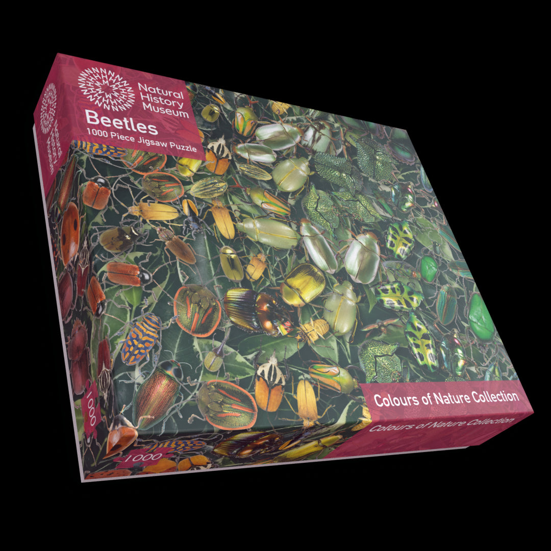 Natural History Museum - Beetles 1000 Piece Jigsaw Puzzle