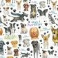 Stay Pawsitive 500 Piece Jigsaw Puzzle