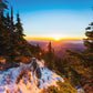 Sunset in the Snowy Forest 1000 Piece Jigsaw Puzzle