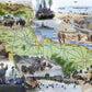 Imperial War Museums D-Day 1000 Piece Jigsaw Puzzle