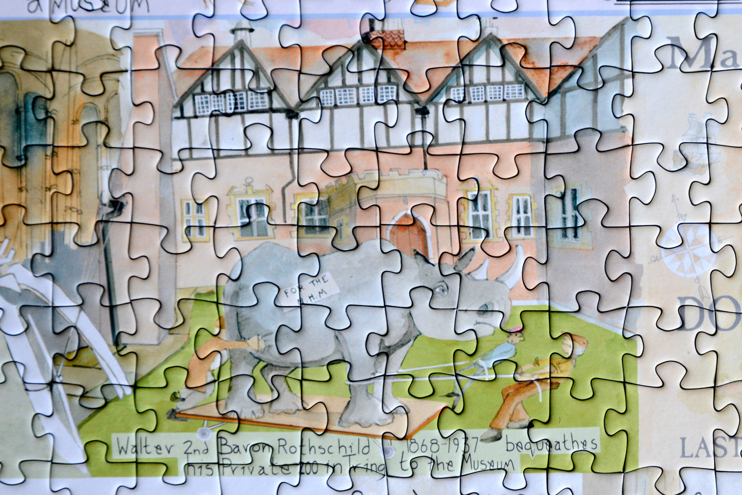 Tim Bulmer - Natural History Museum 1000 Piece Jigsaw