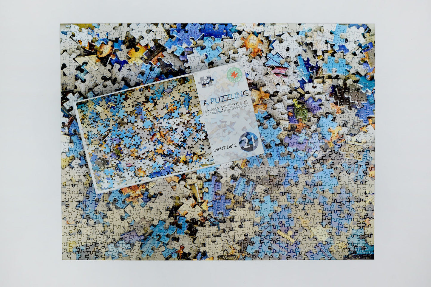 A Puzzling  - Impuzzible No.21 - 1000 Piece Jigsaw Puzzle