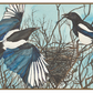The Lost Words Magpies 1000 Piece Jigsaw Puzzle