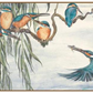 The Lost Words Kingfishers 1000 Piece Jigsaw Puzzle