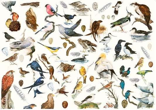 The Book of Birds 1000 Piece Jigsaw Puzzle