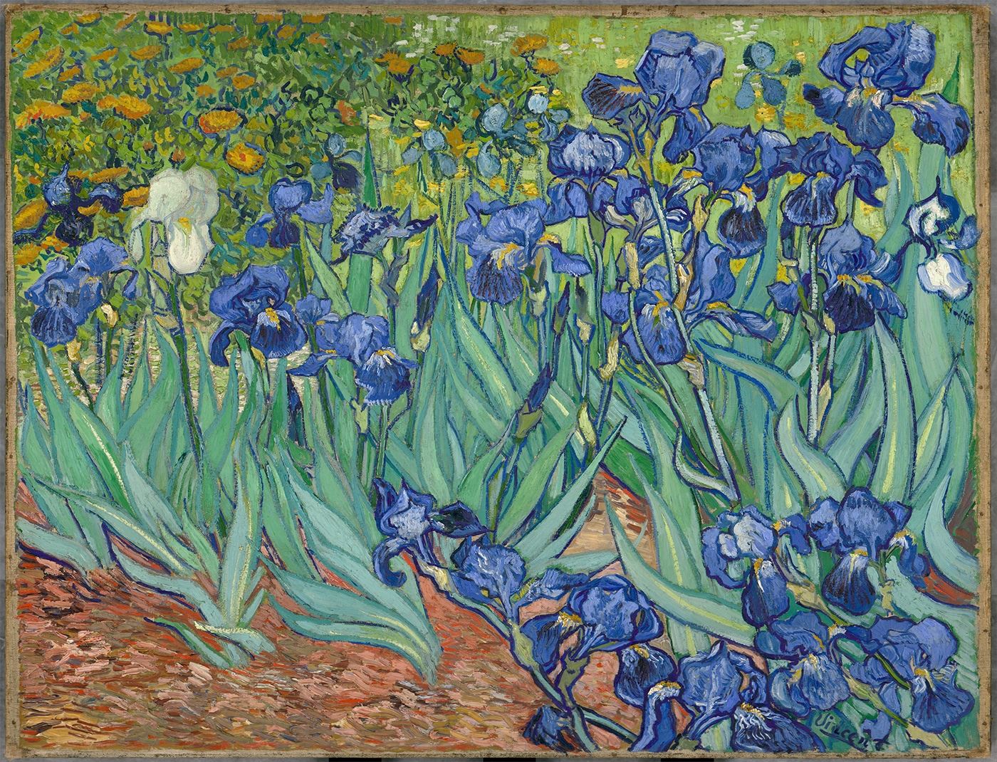 Irises by Vincent van Gogh Jigsaw Puzzle - 500 piece
