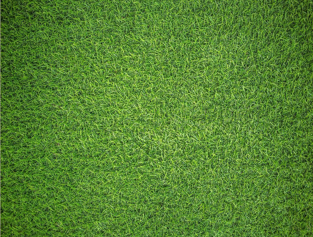 Jigsaw Puzzle - Natural Grass - Impuzzible - 1000 Piece Jigsaw Puzzle